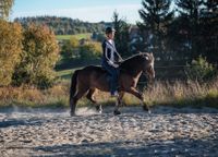 Gesundes Pferdetraining | Langenneufnach | Augsburg